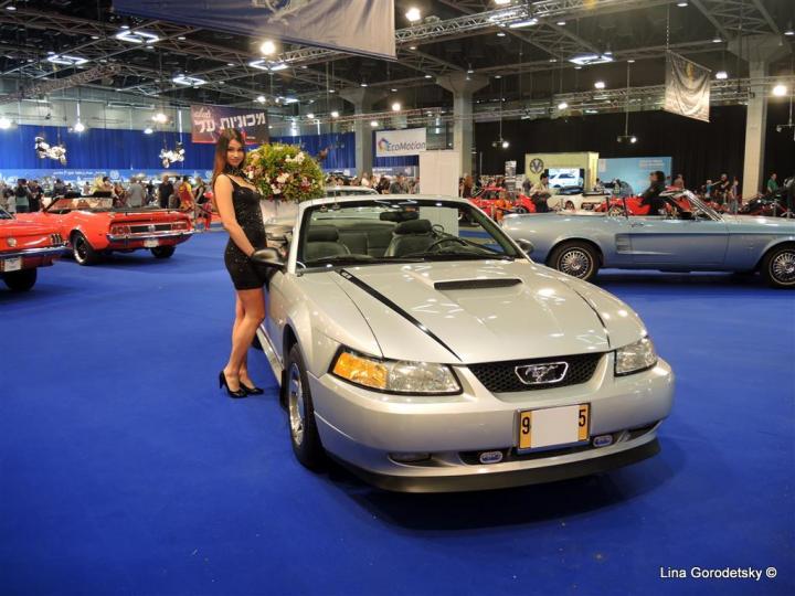 27-DSCN9529 (Medium)