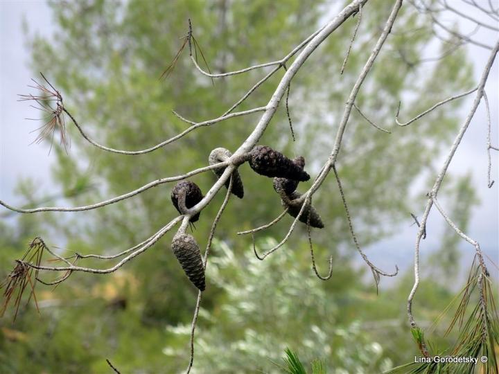 016-DSCN0213 (Medium)