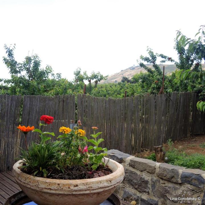 06-DSCN0236 (Medium)