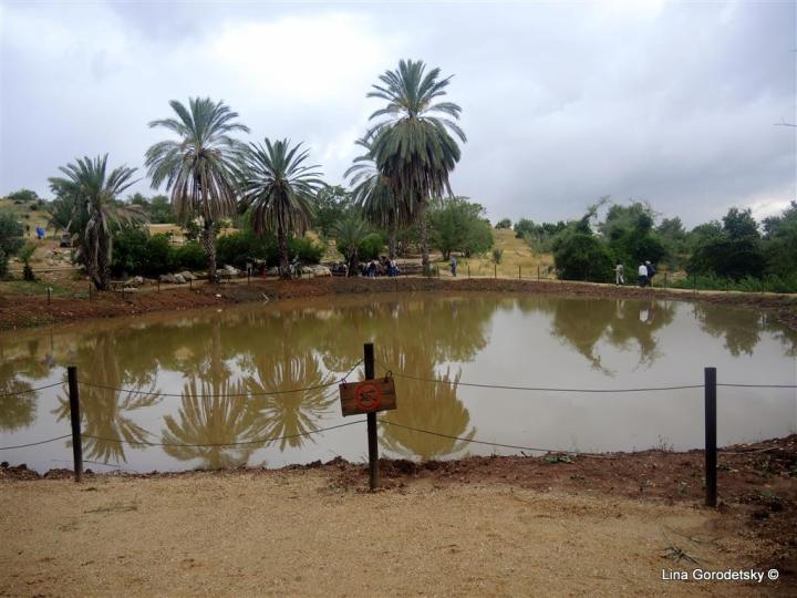 096-DSCN0482 (Medium)