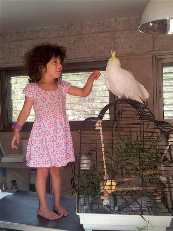 20130919_104142 (2) (Medium)