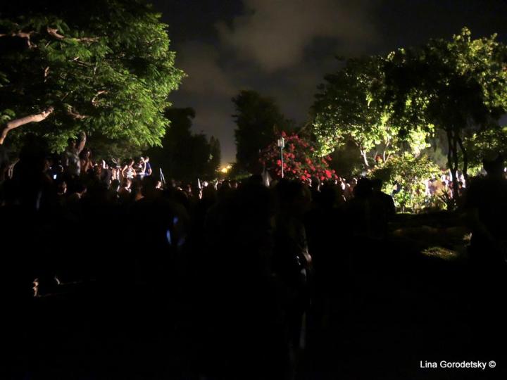 11-DSCN9983 (Medium)