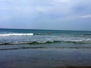 15638_393126017489359_776077462_n[1]