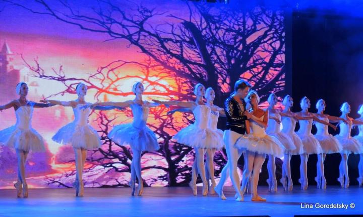 164-DSCN0904 (Medium)