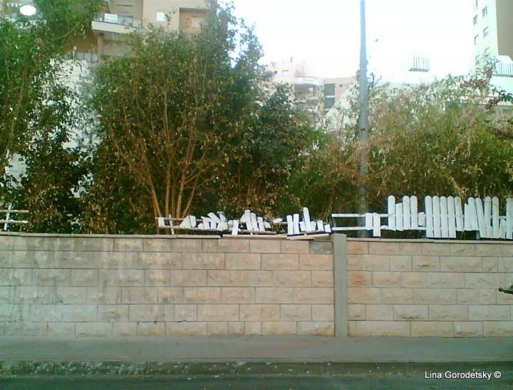 08-תמונה002 (Medium)