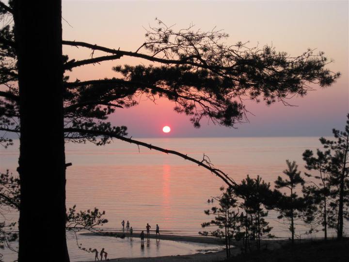 Copy of Picture 2841 (Medium)