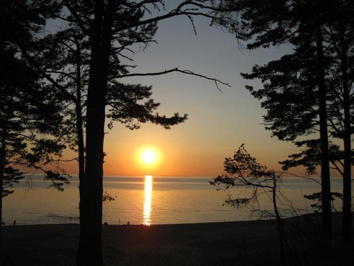 Picture 1862 (Medium)