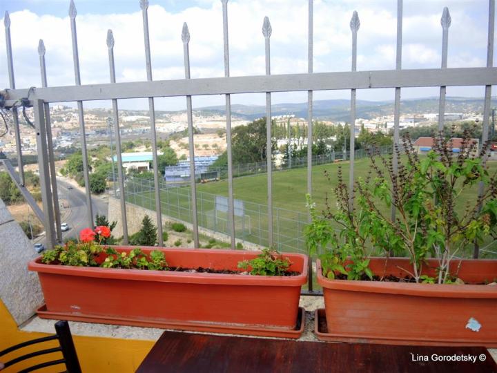 10-DSCN3223 (Medium)