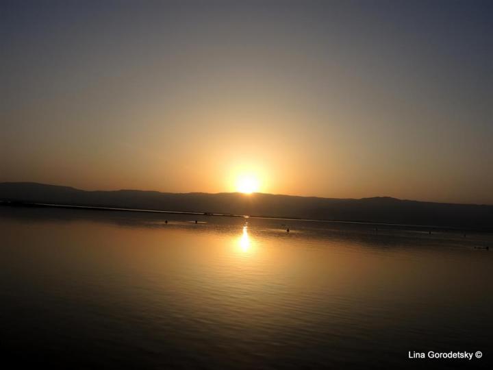 23-DSCN2401 (Medium)