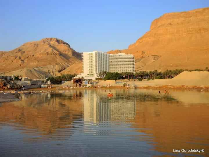 43-DSCN2467 (Medium)