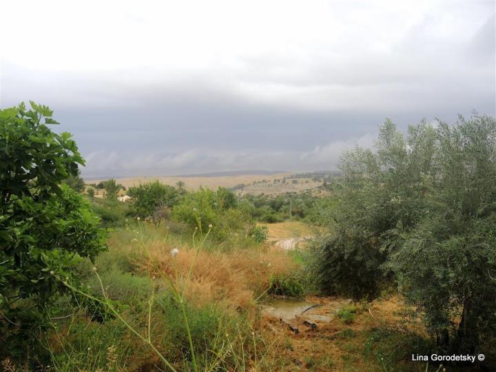 026-DSCN0246 (Medium)