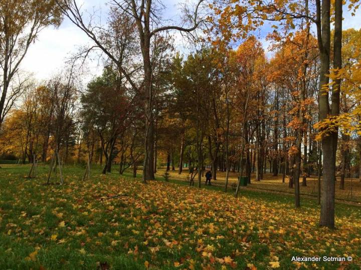 07-10578598_939907516037798_1764676792_n