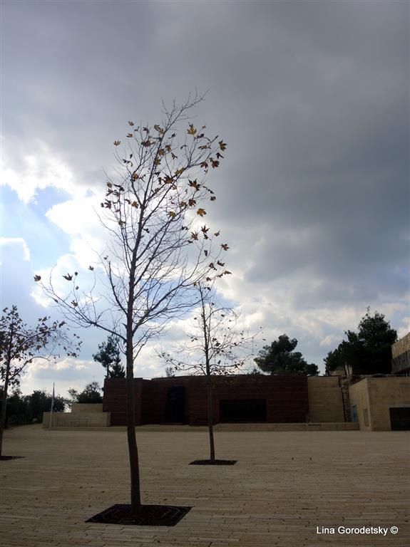 30-DSCN0440 (Medium)