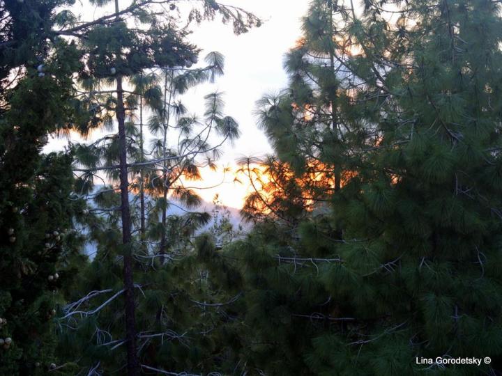 50-DSCN0741 (Medium)