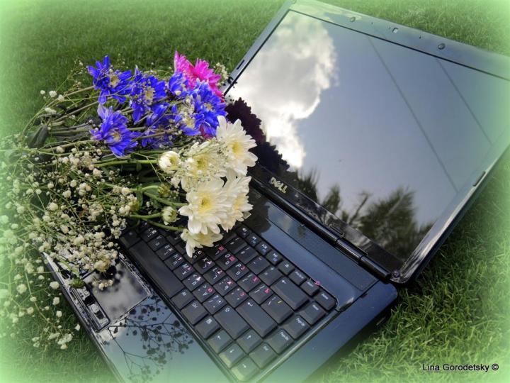 01-DSCN3327 (Medium)