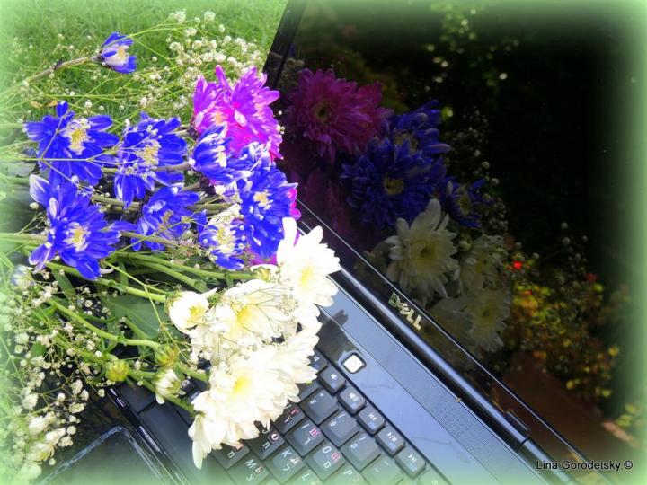 04-DSCN3336 (Medium)