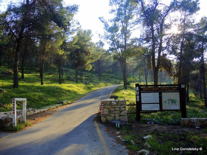 01-DSCN8299 (Medium)