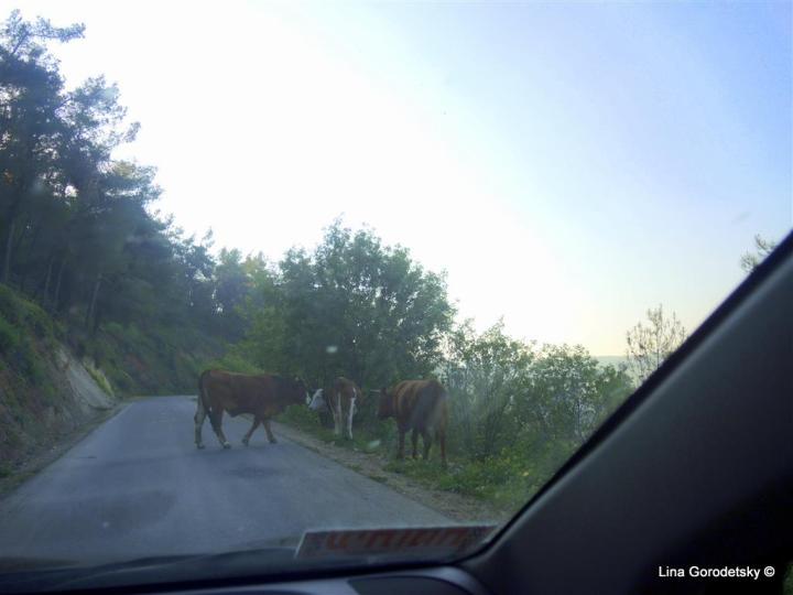 04-DSCN8305 (Medium)