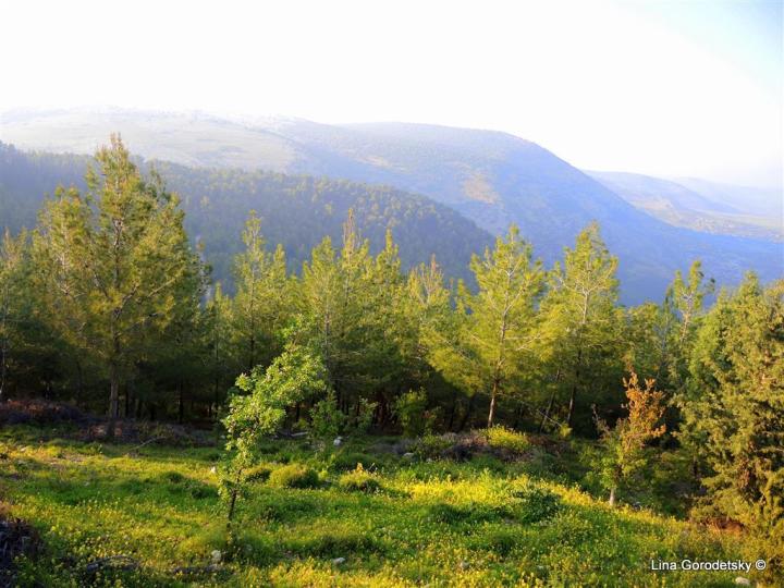 19-DSCN8328 (Medium)