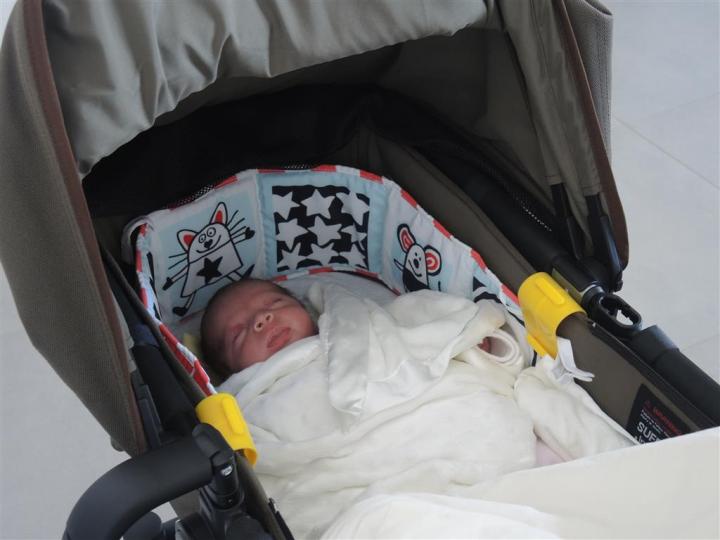 Шай Ли (Medium)