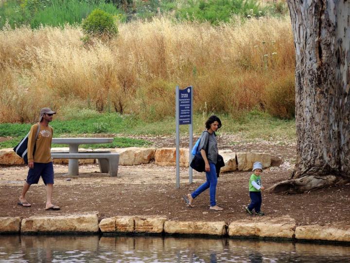 DSCN8455 (Medium) - Copy