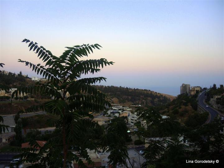 01-DSCN3245 (Medium)