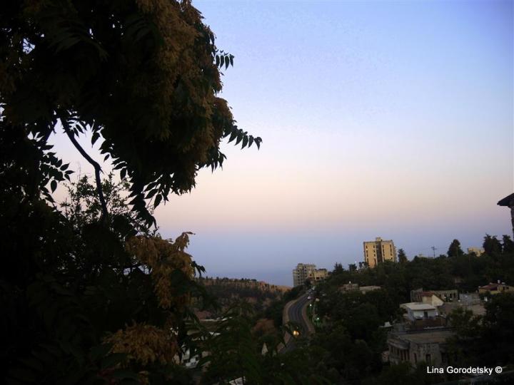 04-DSCN3254 (Medium)