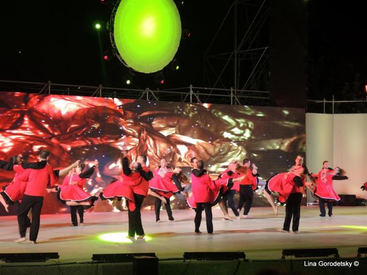 05-DSCN2519 (Medium)