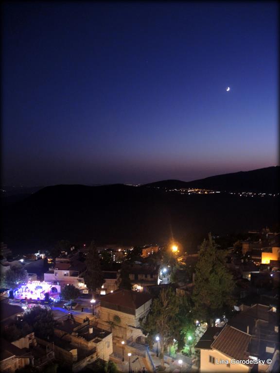 05-DSCN3300 (Medium)