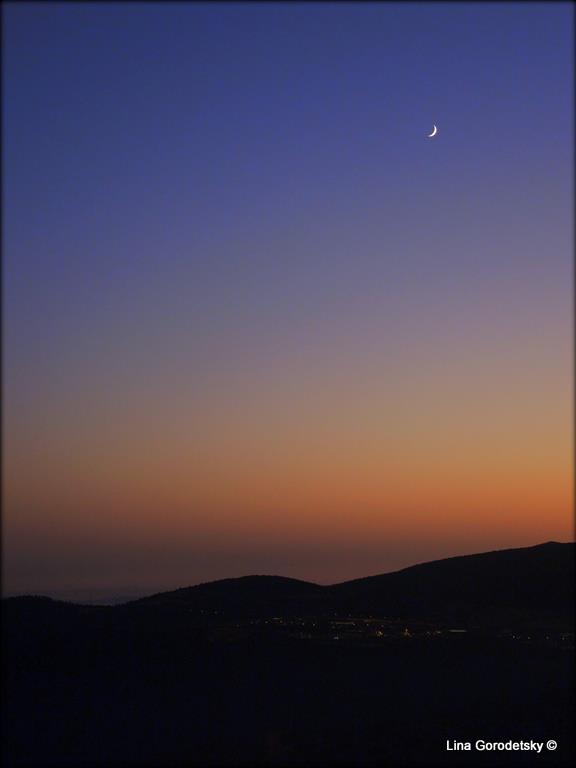 08-DSCN3279 (Medium)