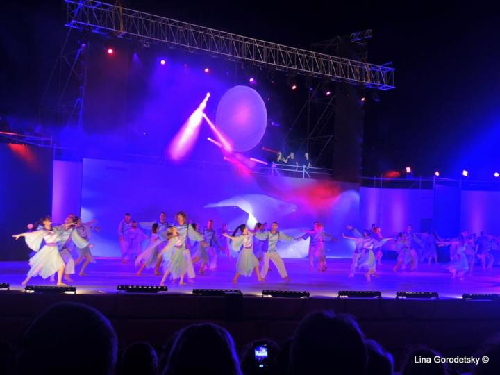 09-DSCN2532 (Medium)