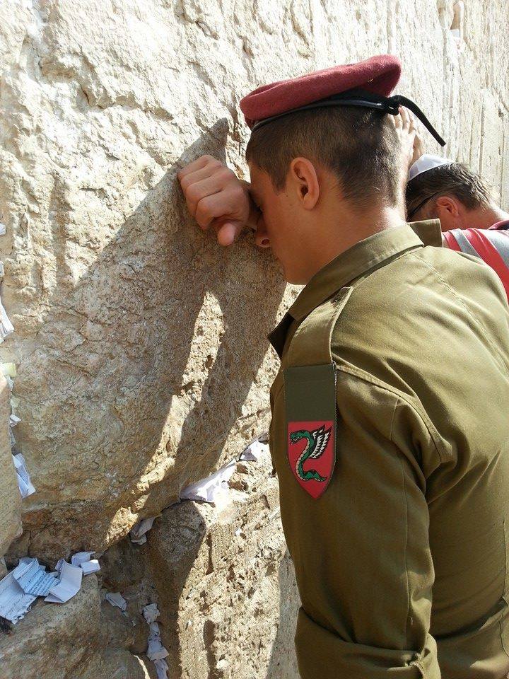 11880958_1622997944619364_1919395595_n