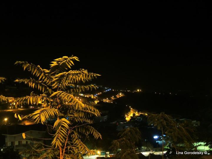 14-DSCN3603 (Medium)