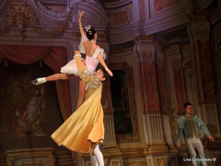 30-DSCN2224 (Medium)