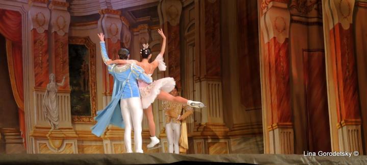 34-DSCN2228 (Medium)