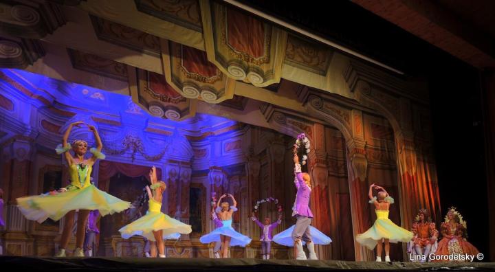 40-DSCN2238 (Medium)