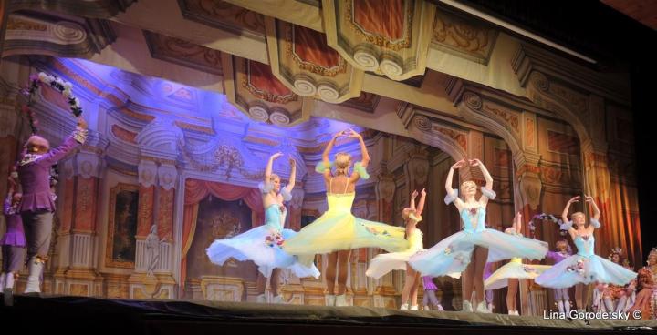 41-DSCN2240 (Medium)