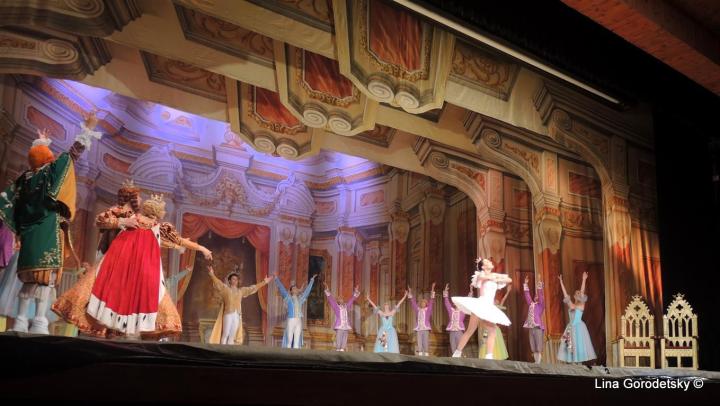 46-DSCN2248 (Medium)