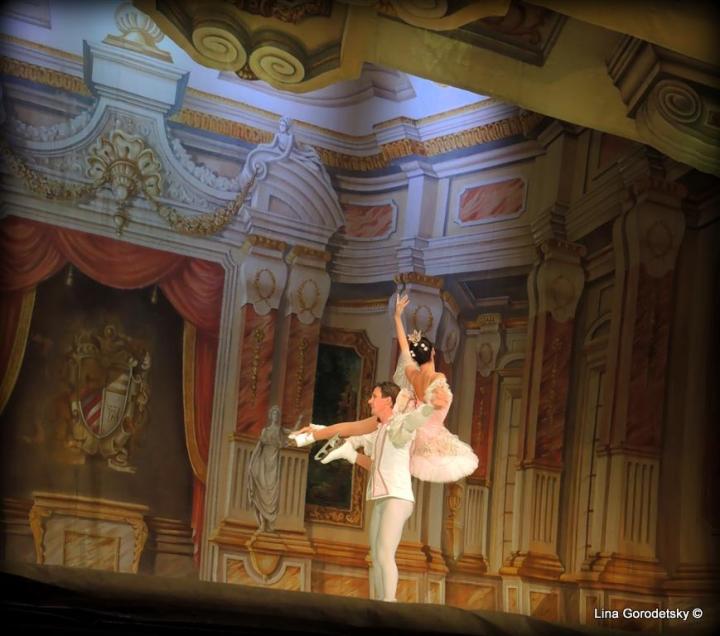 52-DSCN2277 (Medium)