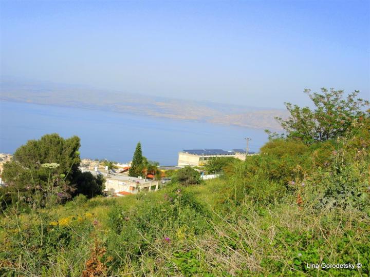 56-DSCN8608 (Medium)