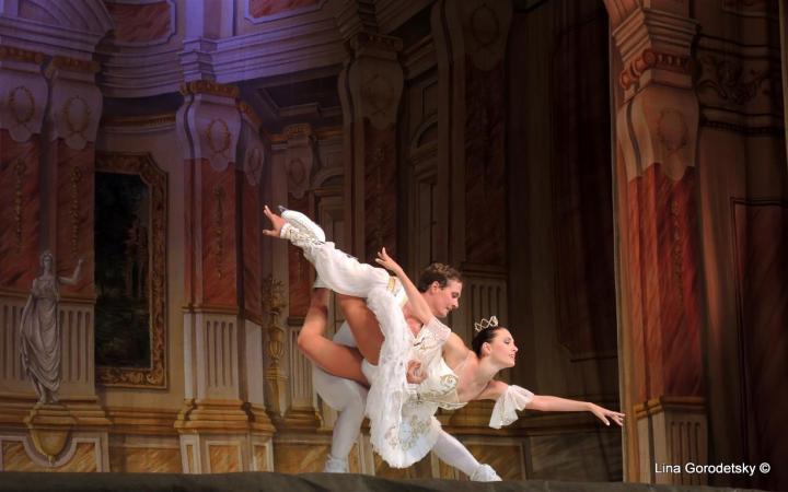 65-DSCN2344 (Medium)