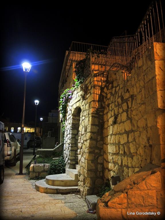 73-DSCN3592 (Medium)