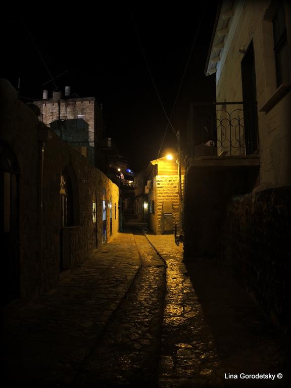 74-DSCN3594 (Medium)