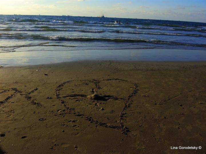 10-DSCN5674 (Medium)