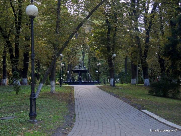 124-DSCN5409 (Medium)