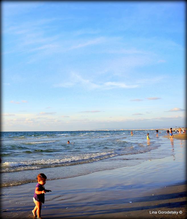 13-DSCN5686 (Medium)