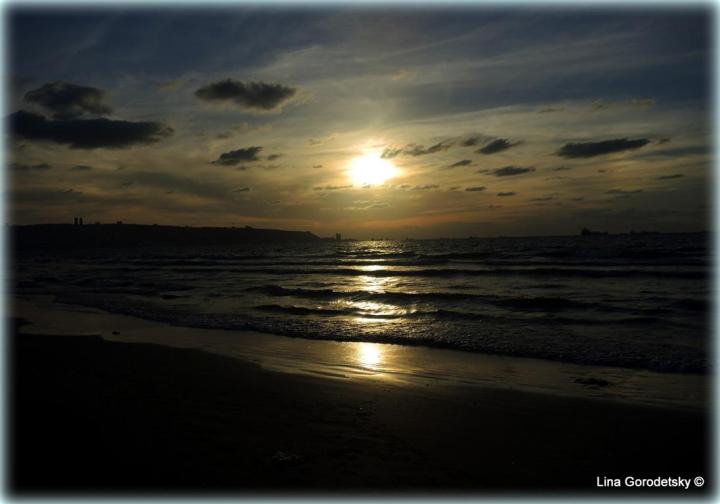 22-DSCN5705 (Medium)