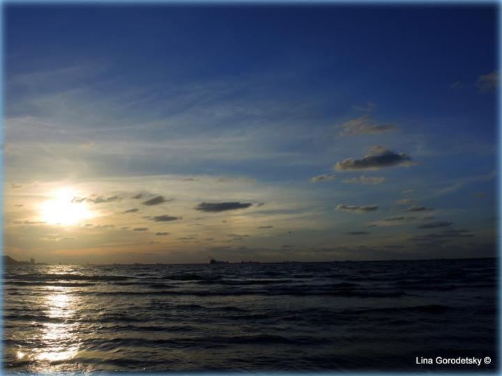 23-DSCN5706 (Medium)