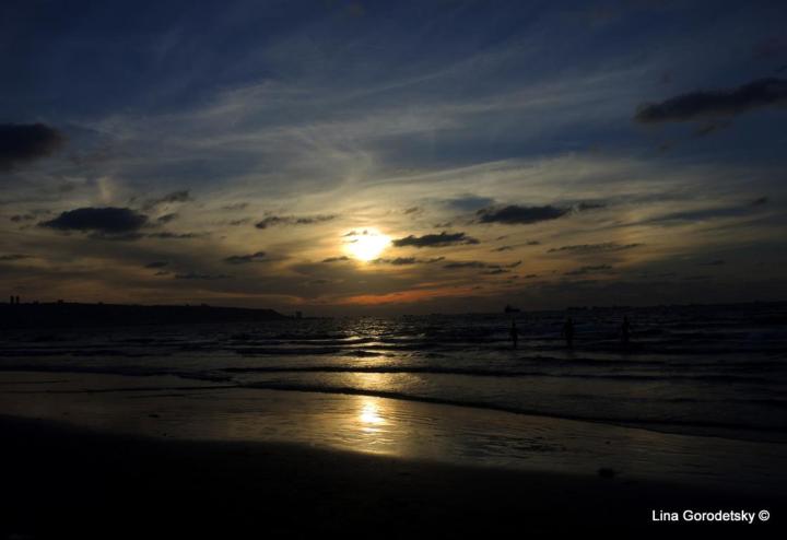 28-DSCN5713 (Medium)