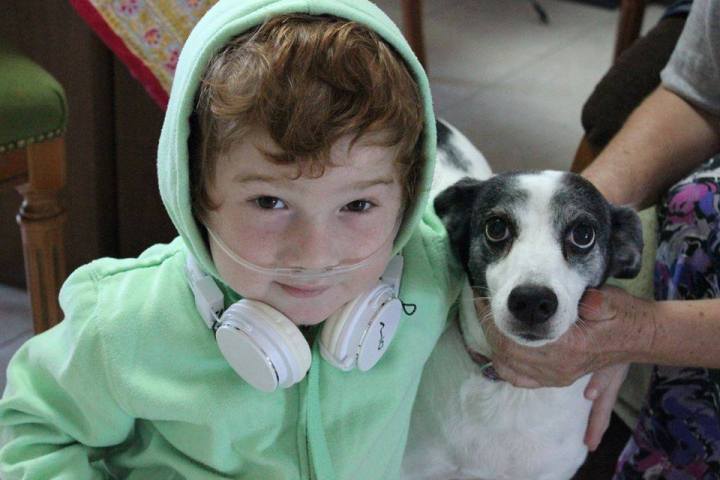 11212483_867106956695868_756380179_n